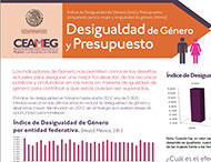 Consulta Infografa